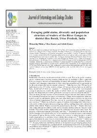 Foraging Guild Status, Diversity and Population Structure of Waders Of
