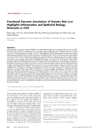Functional Genomic Annotation of Genetic Risk Loci Highlights Inﬂammation and Epithelial Biology Networks in CKD