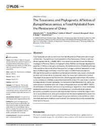 The Taxonomic and Phylogenetic Affinities of Bunopithecus Sericus, a Fossil Hylobatid from the Pleistocene of China
