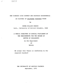 The Cinnamic Acid Pathway and Hispidin Biosynthesis In