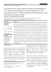 The Dynamics of the Ligula Intestinalis (Cestoda