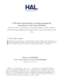U-Th Dated Speleothem Recorded Geomagnetic Excursions in The