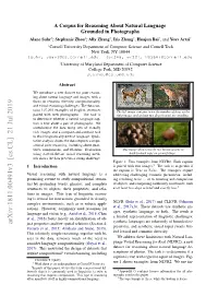 Arxiv:1811.00491V3 [Cs.CL] 21 Jul 2019