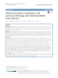 Glial Cell Activation, Recruitment, and Survival of B-Lineage Cells Following MCMV Brain Infection James R
