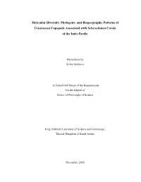 Molecular Diversity, Phylogeny, and Biogeographic Patterns of Crustacean Copepods Associated with Scleractinian Corals of the Indo-Pacific