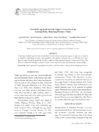 New Turtle Egg Fossil from the Upper Cretaceous of the Laiyang Basin, Shandong Province, China