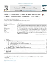 Tannous A, Pisoni GB, Hebert DN, Molinari M. N-Linked Sugar