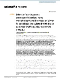 Effect of Earthworms on Mycorrhization, Root Morphology