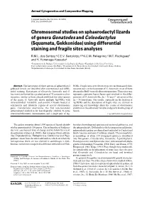 Of Genera Gonatodes and Coleodactylus (Squamata, Gekkonidae) Using Differential Staining and Fragile Sites Analyses