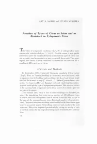 Reaction of Types of Citrus As Scion and As Rootstock to Xyloporosis Virus
