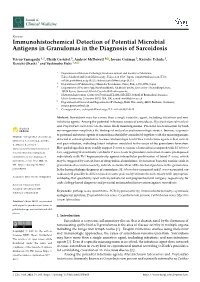 Immunohistochemical Detection of Potential Microbial Antigens in Granulomas in the Diagnosis of Sarcoidosis