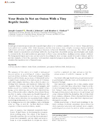 Your Brain Is Not an Onion with a Tiny Reptile Inside