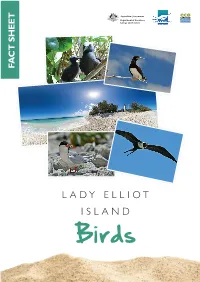 Birds-Fact-Sheet.Pdf