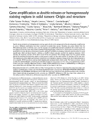 Gene Amplification As Double Minutes Or Homogeneously Staining Regions in Solid Tumors: Origin and Structure