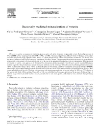 Bacterially Mediated Mineralization of Vaterite