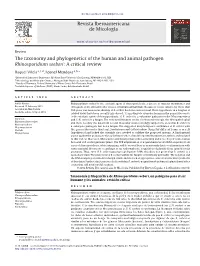 The Taxonomy and Phylogenetics of the Human and Animal Pathogen