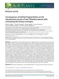 Consequences of Habitat Fragmentation on the Reproductive Success of Two Tillandsia Species with Contrasting Life History Strategies