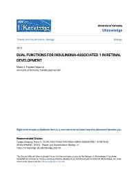 Dual Functions for Insulinoma-Associated 1 in Retinal Development
