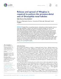 Release and Spread of Wingless Is Required to Pattern the Proximo-Distal Axis of Drosophila Renal Tubules Robin Beaven, Barry Denholm*