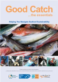 The Good Catch Guide