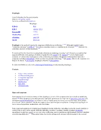 Dysphagia from Wikipedia, the Free Encyclopedia Jump To: Navigation
