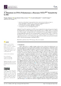 A Mutation in DNA Polymerase Α Rescues WEE1KO Sensitivity to HU