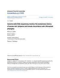 Genome-Wide RAD Sequencing Resolves the Evolutionary History of Serrate Leaf Juniperus and Reveals Discordance with Chloroplast Phylogeny