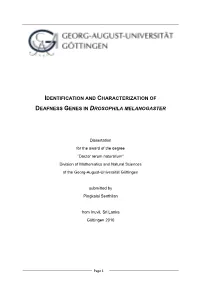Identification and Characterization Of