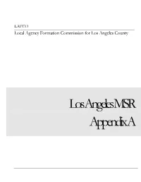 Los Angeles MSR Appendix A
