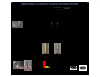 Tfsbbstudy.Pdf