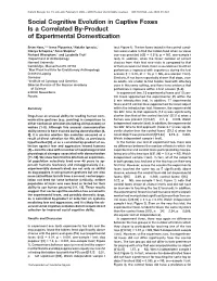 Social Cognitive Evolution in Captive Foxes Is a Correlated By-Product of Experimental Domestication