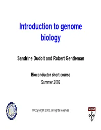 DNA Replication