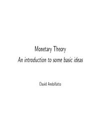 Monetary Theory an Introduction to Some Basic Ideas