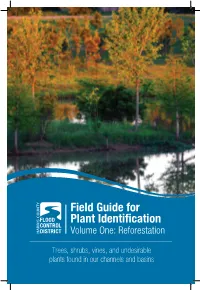 Field Guide for Plant Identification Volume One: Reforestation