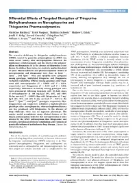 Open Full Page