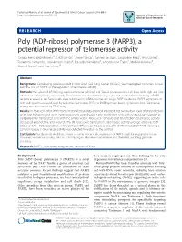Poly (ADP-Ribose) Polymerase 3 (PARP3), a Potential Repressor Of
