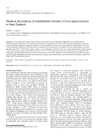 Circus Approximans) in New Zealand