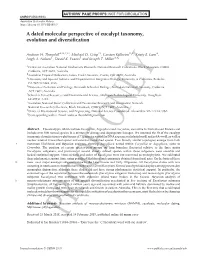 A Dated Molecular Perspective of Eucalypt Taxonomy, Evolution and Diversiﬁcation