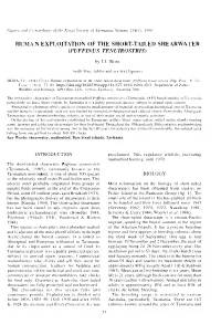 Human Exploitation of the Short-Tailed Shearwater (Puff/Nus Tenuirostris)