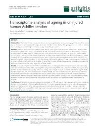 Transcriptome Analysis of Ageing in Uninjured Human Achilles Tendon