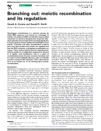 Branching Out: Meiotic Recombination and Its Regulation