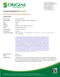 DEDD (NM 001039712) Human Untagged Clone Product Data