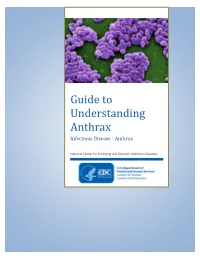Guide to Understanding Anthrax