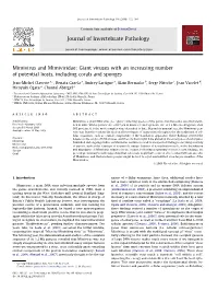 Mimivirus and Mimiviridae: Giant Viruses with an Increasing Number of Potential Hosts, Including Corals and Sponges