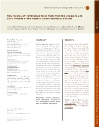 New Records of Humiriaceae Fossil Fruits from the Oligocene and Early