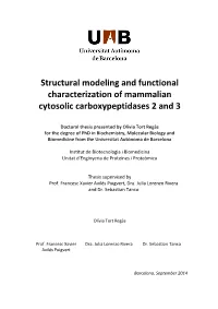 Structural Modeling and Functional Characterization of Mammalian Cytosolic Carboxypeptidases 2 and 3