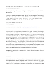 Isopeptidase Activity of Human Transglutaminase 2: Disconnection from Transamidation and Characterization by Kinetic Parameters