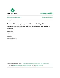 Successful Recovery in a Paediatric Patient with Polytrauma Following Multiple Gunshot Wounds: Case Report and Review of Literature