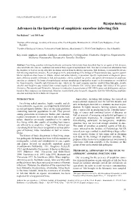 Advances in the Knowledge of Amphizoic Amoebae Infecting Fish
