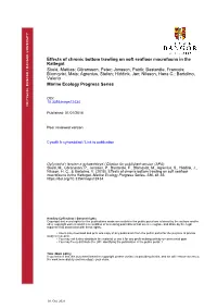 Effects of Chronic Bottom Trawling on Soft Seafloor Macrofauna in The